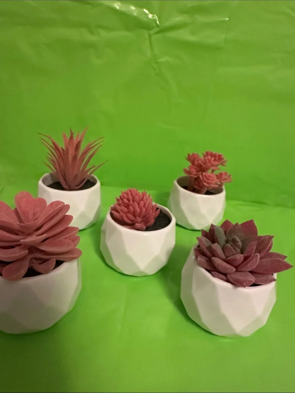 White Geometric Ceramic Planter Set with Pink Succulents - Home Accents